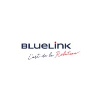 BlueLink International CZ logo - Similar company to Clickads