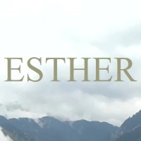 Esther Group LLC logo - Similar company to Light Legal Pllc