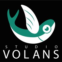 Studio Volans logo - Similar company to Studio Z Deventer