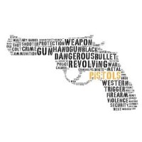 Gun Violence Prevention Advocacy logo - Similar company to Plena-Lab