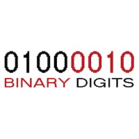 Binary Digits logo - Similar company to Datakraft Technology