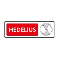 Hedelius Maschinenfabrik GmbH logo - Similar company to Ymt Technologies