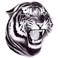 Mig Software logo - Similar company to Evolve Systems Sac
