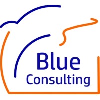 Blue Consulting IntermediAri Assicurativi logo - Similar company to Fpm Assicurazioni
