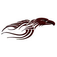 Eagle for Insurance Brokerage logo - Similar company to Elsaad Motorcycle