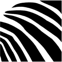 ZEBRE ARCHITECTURE logo - Similar company to Oko Studio