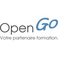 OpenGo logo - Similar company to 313 Labs