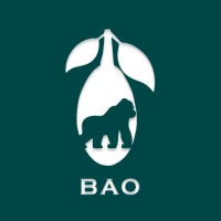 BAO PACKAGING GULF logo - Similar company to Baopackaging Europe