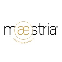 Maestria Magazine logo - Similar company to Ideee