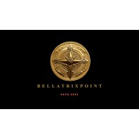 BellatrixPoint logo - Similar company to Direct B2B Media Enterprises