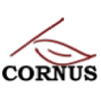 Cornus Consulting, LLC logo - Similar company to Vinograd & Co.
