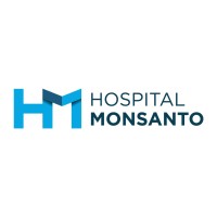 Hospital Monsanto logo - Similar company to Leanxcale