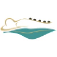 BluRoyale MMS Inc logo - Similar company to Equator Business Intelligence