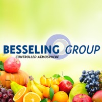 Besseling Group | Controlled Atmosphere logo - Similar company to Presscon - Fx Prevent