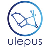 Ulepus Microelectronic Systems logo - Similar company to Arelize