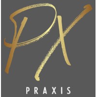 Praxisinc logo - Similar company to G K Drilling Ltd