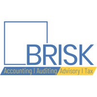 BRISK Auditing logo - Similar company to Apeiron Talents Recruitment