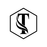 Transform-IT logo - Similar company to Time4Digital S.À R.L.