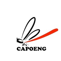 PT. Capoeng Digital Nusantara logo - Similar company to Comtelindo