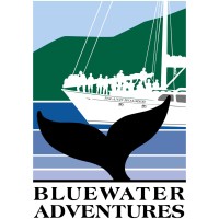 Bluewater Adventures Ltd logo - Similar company to Mkm Projects Ltd.