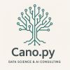 cano.py logo - Similar company to Docusan