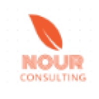 Nour Consulting logo - Similar company to Nour Consulting
