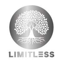 Limitless NY logo - Similar company to Vbpr