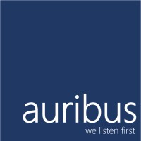 Auribus Consulting logo - Similar company to Primary Prevention Solutions Llc