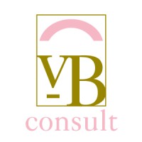VBCONSULT logo - Similar company to Raise The Bar