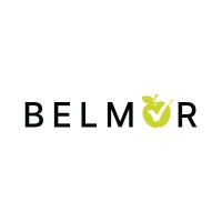 BELMOR SOLUTIONS LIMITED logo - Similar company to Greenpoint (Iot Solutions)