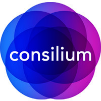 Consilium Communications Ltd logo - Similar company to Another Word Communications