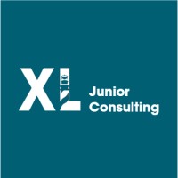 Excelia Junior Consulting logo - Similar company to Thxd Gmbh