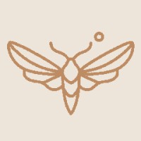 İmperfly logo - Similar company to 1 Memar