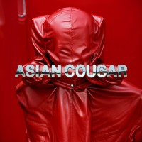 Asian Cougar logo - Similar company to Black Copper