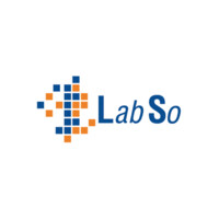 Labso Informatica srl logo - Similar company to T.I.M. Informatica