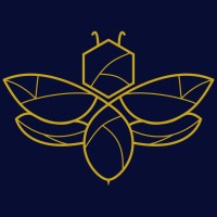 BeeHype Media logo - Similar company to Ziddea