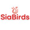 SiaBirds logo - Similar company to Gocloud Business