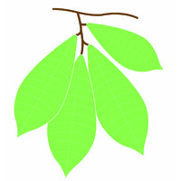 Cincinnati Permaculture Institute logo - Similar company to Cincinni