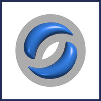 Synergies Corp.