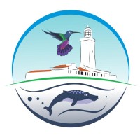Casas de aluguel no Farol de Santa Marta, Laguna, SC. logo - Similar company to Buzz Garopaba