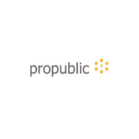 ProPublic logo - Similar company to Pro:Public