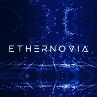 Ethernovia logo - Similar company to Skillar Consulting