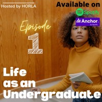 Life as an Undergraduate logo - Similar company to Eo Consults