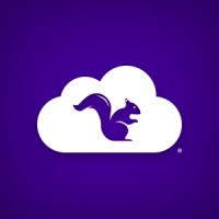 Squirrels logo - Similar company to 5C Strategy