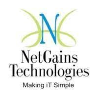 NetGains Technologies Pvt Ltd logo - Similar company to Wakeh Studio