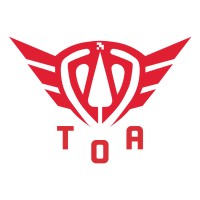 Team of Anatolia logo - Similar company to Softtures