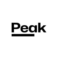 Peak Sofware logo - Similar company to Peak Software Solution
