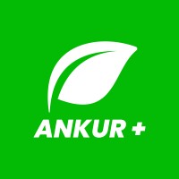 ANKUR + logo - Similar company to Filehs