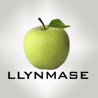 Llynmase Group logo - Similar company to Ehia Hmo