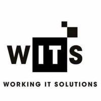 Working IT Solutions logo - Similar company to Usoft Solutions